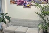 Free couch