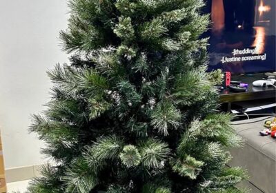 611811601_1953020115284340_2823828864579900989_n