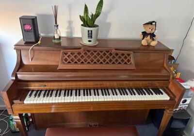 613733326_2362091217563280_1143268447136735222_n