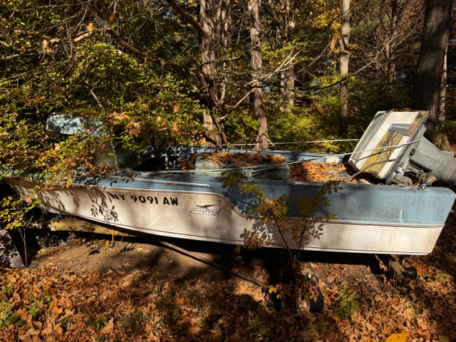 Duratech Boat and trailer