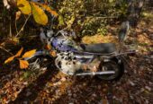 Two yamaha motorcycles come take them
